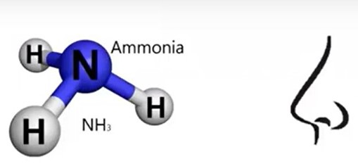 detección de amoniaco