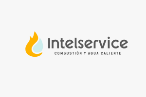 IINTELSERVICE SAS