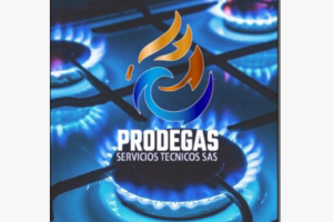 PRODEGAS SERVICIOS TÉCNICOS S.A.S